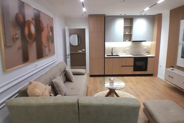 Shtepi me qera Apartament ne Tirane, 1+1, Mobilimi E mobiluar, Pagesa 700  Euro.