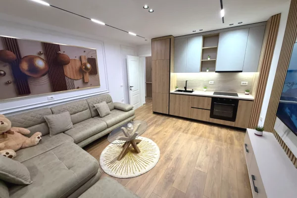 Shtepi me qera Apartament ne Tirane, 1+1, Mobilimi E mobiluar, Pagesa 700  Euro.