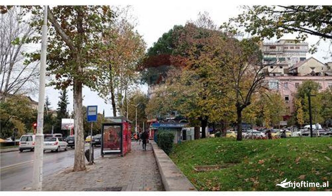 Dyqan ne Shitje tek Shallvaret