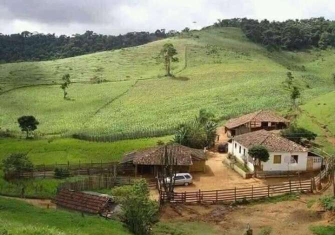 Truall ose Toke ne Tirane - 45,000 Euro