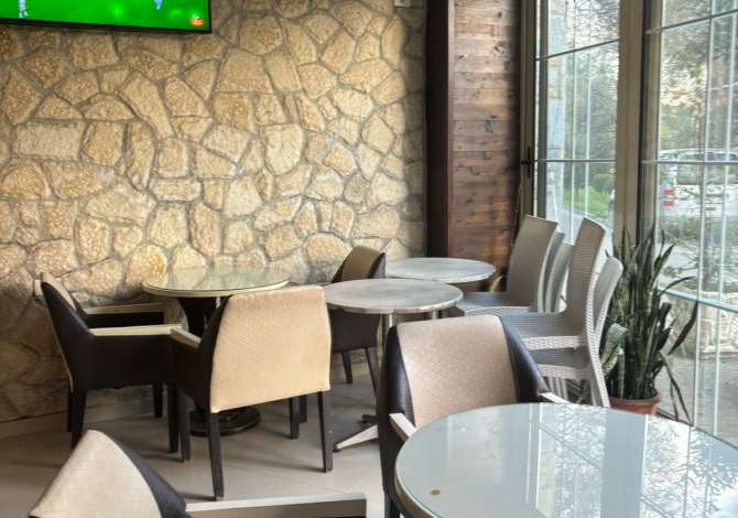 Ambient biznesi me qera 2+1 ne Tirane - 500 Euro