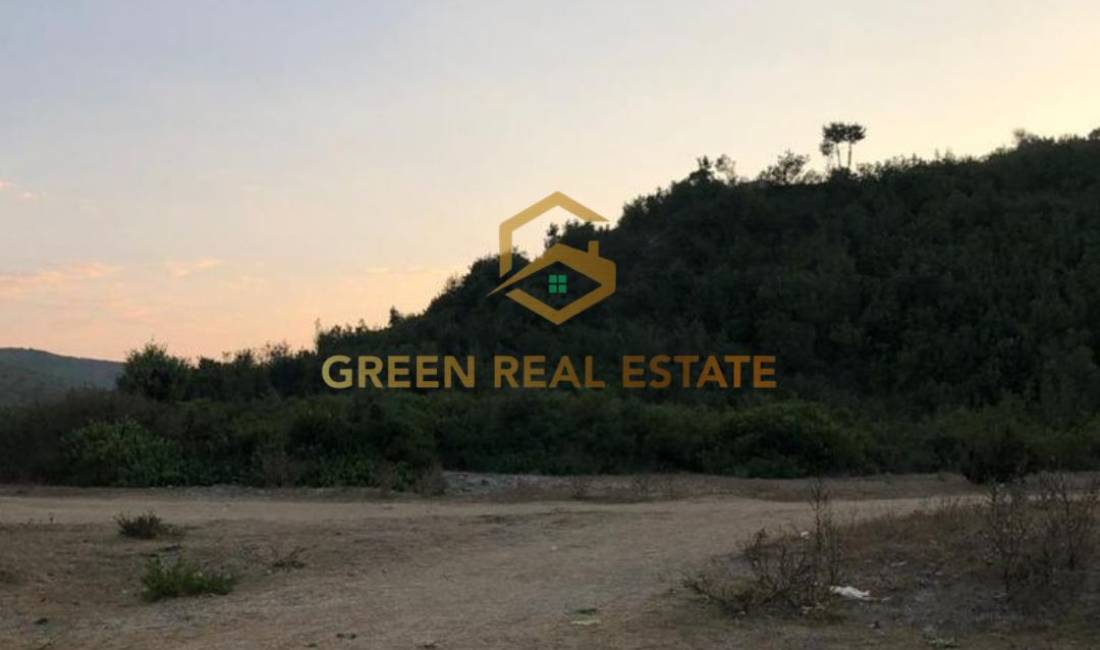 SHITET TOKE , SPILLE 