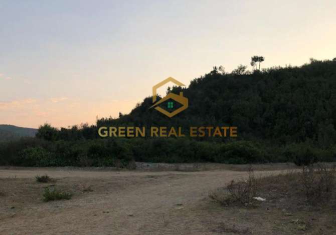 SHITET TOKE , SPILLE 