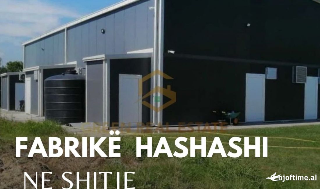 Fabrike kanabisi ne shitje