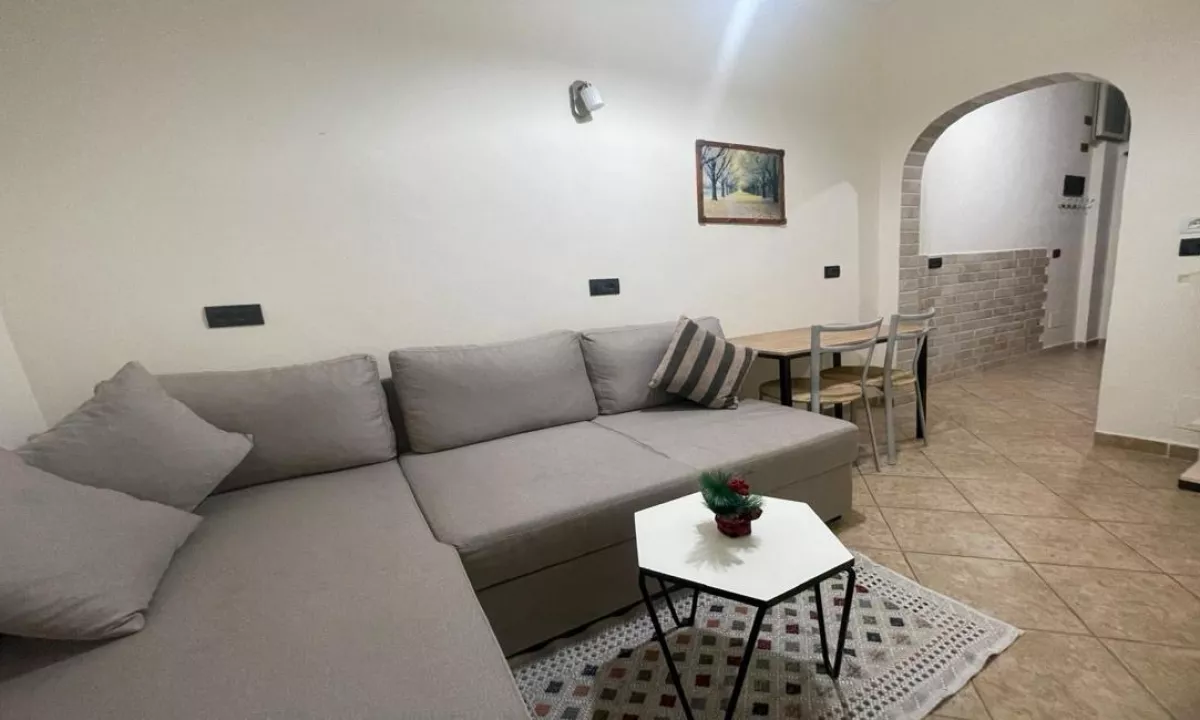 Appartamento in affitto a Tirana 1+1, Arredato