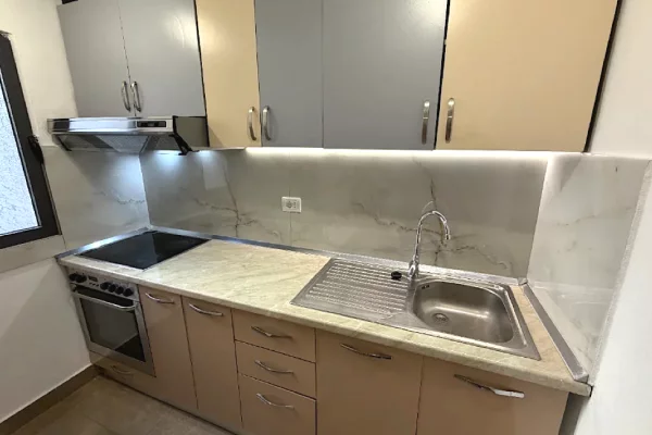 Shtepi me qera Apartament ne Tirane, 1+1, Mobilimi E mobiluar, Pagesa 550  Euro.