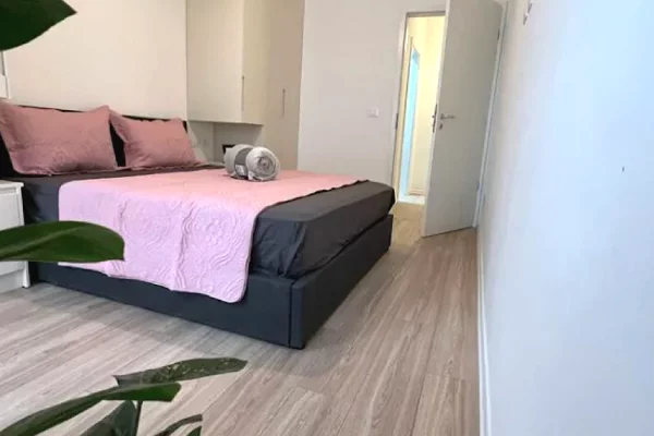 Shtepi me qera Apartament ne Tirane, 1+1, Mobilimi E mobiluar, Pagesa 650  Euro.