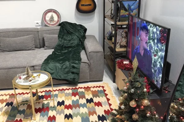 Shtepi ne shitje Apartament ne Tirane, 1+1, Mobilimi E mobiluar, Pagesa 100,000  Euro.