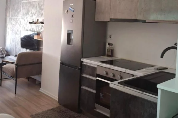 Shtepi me qera Apartament ne Tirane, 1+1, Mobilimi E mobiluar, Pagesa 50,000  Leke.