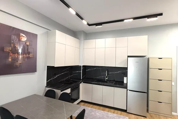 Shtepi me qera Apartament ne Tirane, 1+1, Mobilimi E mobiluar, Pagesa 40,000  Leke.