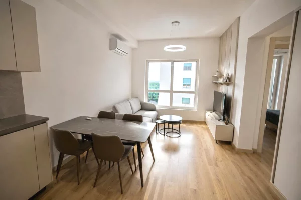 Apartament 1+1 me qera Ali Demi ID (R1051) Tirane