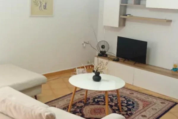Shtepi me qera 1+1 ne Tirane - 580 Euro