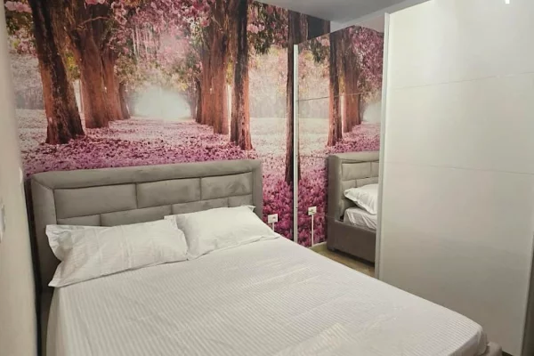 Shtepi me qera Apartament ne Tirane, 1+1, Mobilimi E mobiluar, Pagesa 650  Euro.