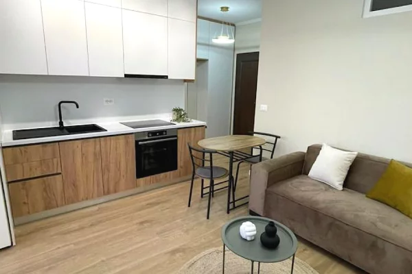 Shtepi me qera Apartament ne Tirane, 1+1, Mobilimi E mobiluar, Pagesa 500  Euro.