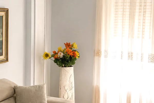 Apartment for rent in Tirana 1+1, Furnished