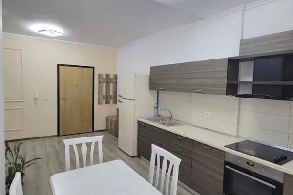 Shtepi me qera Apartament ne Tirane, 1+1, Mobilimi E mobiluar, Pagesa 60,000  Leke.