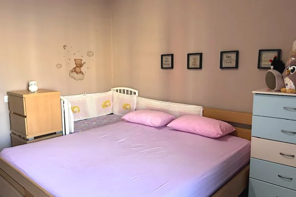 Shtepi me qera Apartament ne Tirane, 1+1, Mobilimi E mobiluar, Pagesa 48,000  Leke.