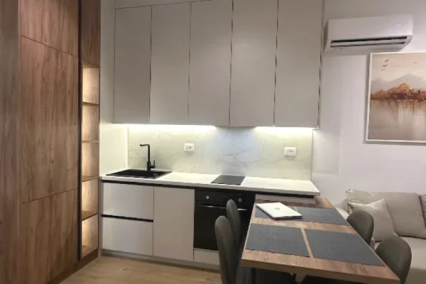Shtepi me qera Apartament ne Tirane, 1+1, Mobilimi E mobiluar, Pagesa 450  Euro.