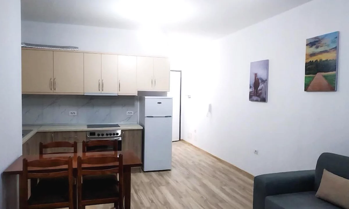 Shtepi me qera Apartament ne Tirane, 1+1, Mobilimi E mobiluar, Pagesa 52,000  Leke.