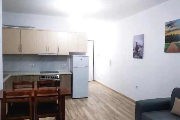Shtepi me qera 1+1 ne Tirane - 52,000 Leke