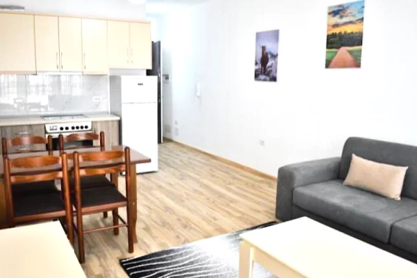 Shtepi me qera Apartament ne Tirane, 1+1, Mobilimi E mobiluar, Pagesa 52,000  Leke.