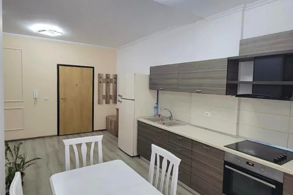 Shtepi me qera Apartament ne Tirane, 1+1, Mobilimi E mobiluar, Pagesa 55,000  Leke.