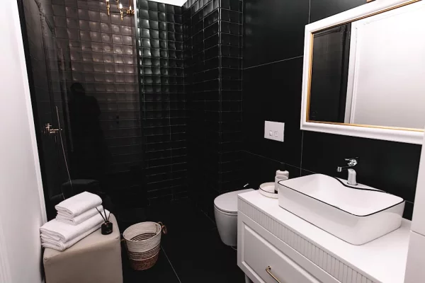 Shtepi me qera Apartament ne Tirane, 1+1, Mobilimi E mobiluar, Pagesa 60,000  Leke.