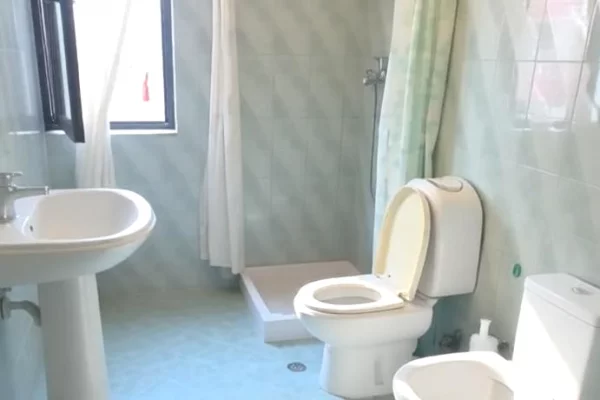 Shtepi ne shitje Apartament ne Tirane, 1+1, Mobilimi E mobiluar, Pagesa 11,700,000  Leke.
