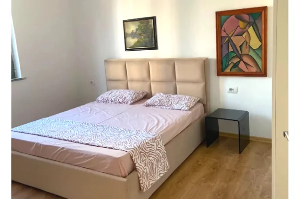 Shtepi me qera Apartament ne Tirane, 1+1, Mobilimi E mobiluar, Pagesa 65,000  Leke.