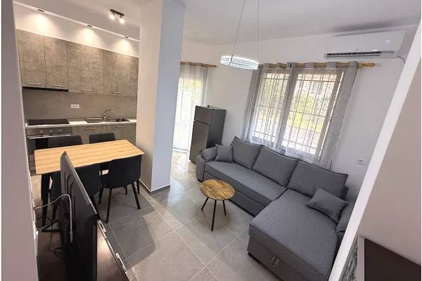 Apartament 1+1 me Qera Selite (ID R1126) Tirane