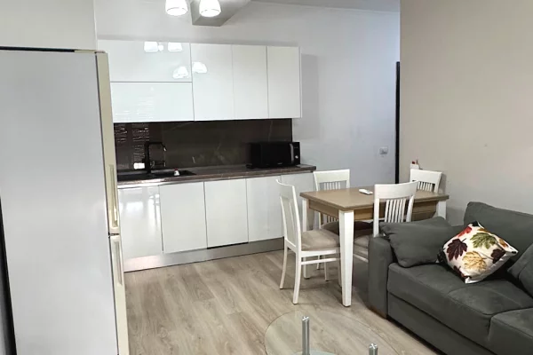 Apartament 1+1 me Qera tek Brryli (ID R10119) Tirane