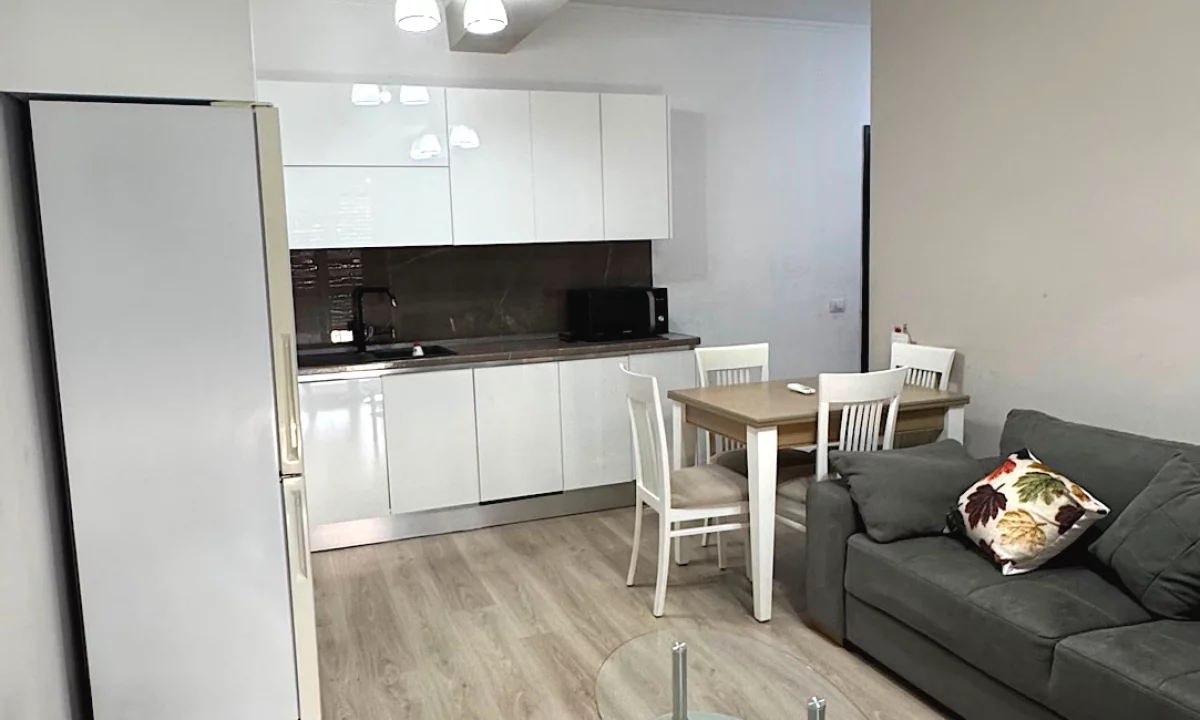 Shtepi me qera Apartament ne Tirane, 1+1, Mobilimi E mobiluar, Pagesa 60,000  Leke.