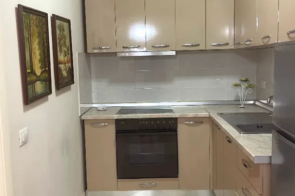Shtepi me qera Apartament ne Tirane, 1+1, Mobilimi E mobiluar, Pagesa 65,000  Leke.