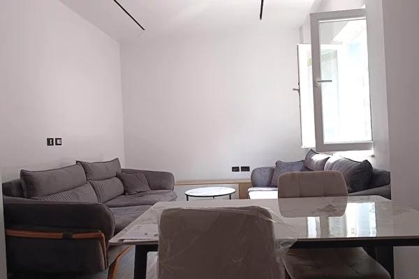 Shtepi me qera Shtepi Private ne Tirane, 1+1, Mobilimi E mobiluar, Pagesa 45,000  Leke.