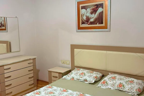 Shtepi me qera Apartament ne Tirane, 1+1, Mobilimi E mobiluar, Pagesa 50,000  Leke.