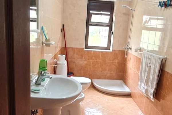 Shtepi me qera Apartament ne Tirane, 1+1, Mobilimi E mobiluar, Pagesa 55,000  Leke.