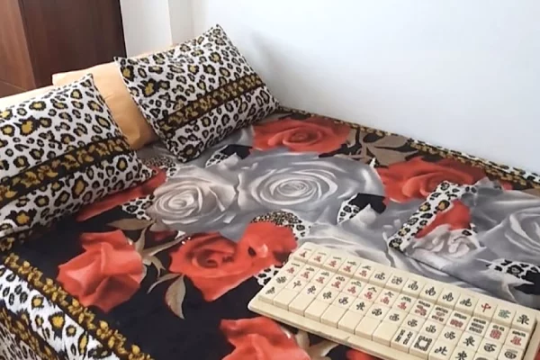 Shtepi me qera Apartament ne Tirane, 1+1, Mobilimi E mobiluar, Pagesa 50,000  Leke.