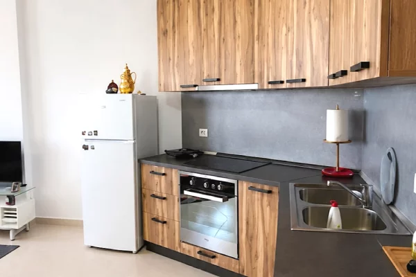 Shtepi me qera Apartament ne Tirane, 1+1, Mobilimi E mobiluar, Pagesa 50,000  Leke.