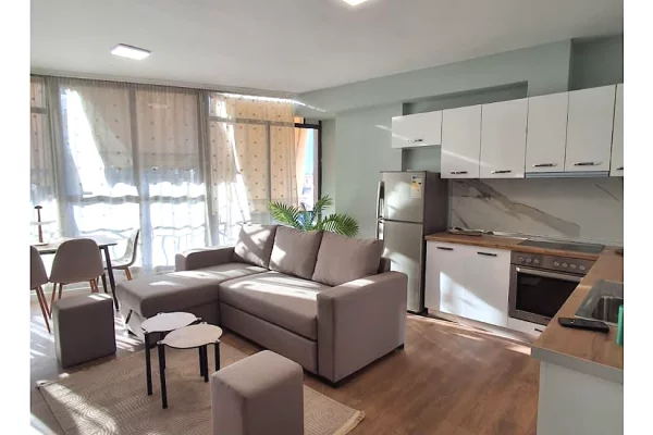Shtepi me qera Apartament ne Tirane, 1+1, Mobilimi E mobiluar, Pagesa 60,000  Leke.