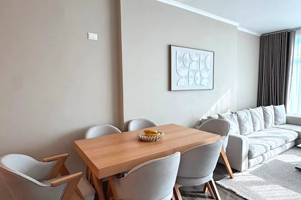 Shtepi me qera Apartament ne Tirane, 1+1, Mobilimi E mobiluar, Pagesa 55,000  Leke.