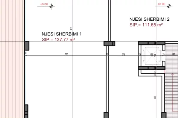 Ambient biznesi me qera 1+1 ne Tirane - 2,500 Euro