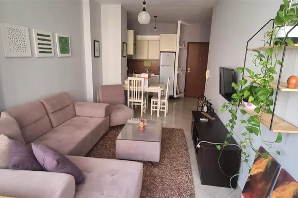 House for Rent Apartment in Tirana, 1+1, Furniture Furnished, Payment 55,000  Leke.