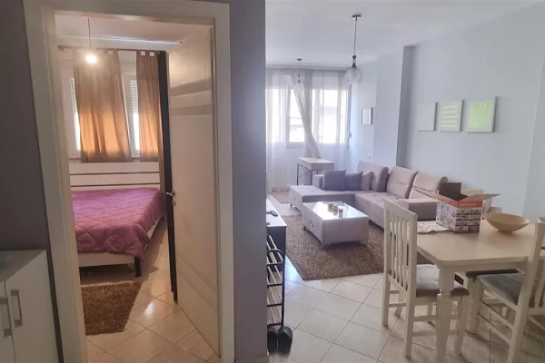 House for Rent Apartment in Tirana, 1+1, Furniture Furnished, Payment 55,000  Leke.