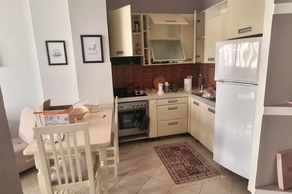 House for Rent Apartment in Tirana, 1+1, Furniture Furnished, Payment 55,000  Leke.