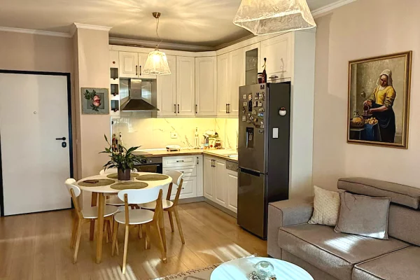 Shtepi me qera Apartament ne Tirane, 1+1, Mobilimi E mobiluar, Pagesa 70,000  Leke.