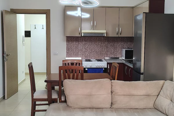 House for Rent Apartment in Tirana, 1+1, Furniture Furnished, Payment 60,000  Leke.