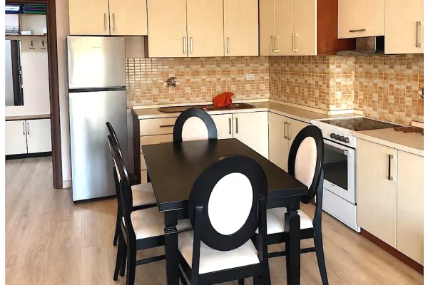 Shtepi me qera Apartament ne Tirane, 1+1, Mobilimi E mobiluar, Pagesa 60,000  Leke.