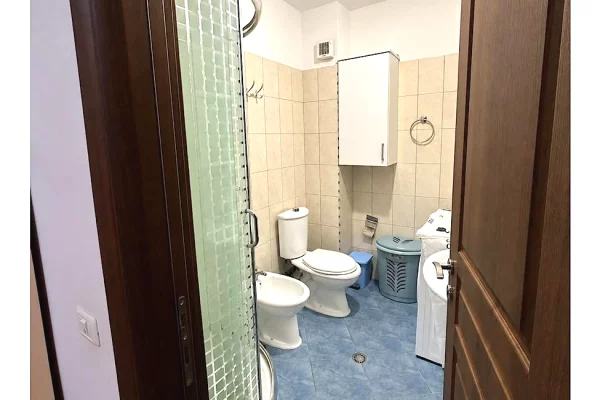 Shtepi me qera Apartament ne Tirane, 1+1, Mobilimi E mobiluar, Pagesa 60,000  Leke.