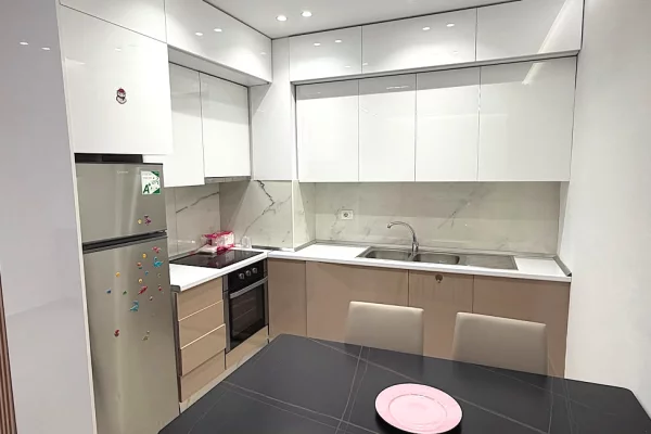 Shtepi me qera Apartament ne Tirane, 1+1, Mobilimi E mobiluar, Pagesa 80,000  Leke.