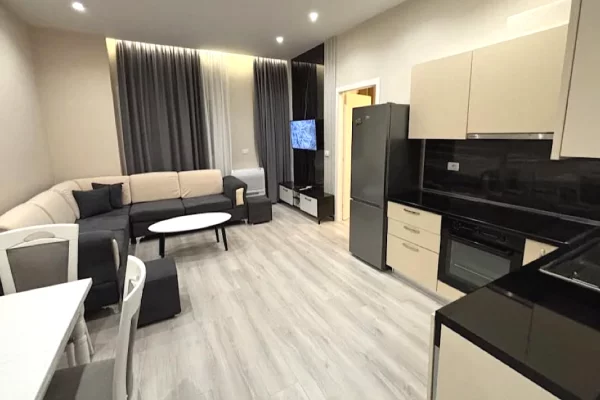 Shtepi me qera 1+1 ne Tirane - 55,000 Leke